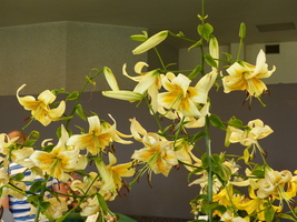 Foto: Dr. Peter Müller